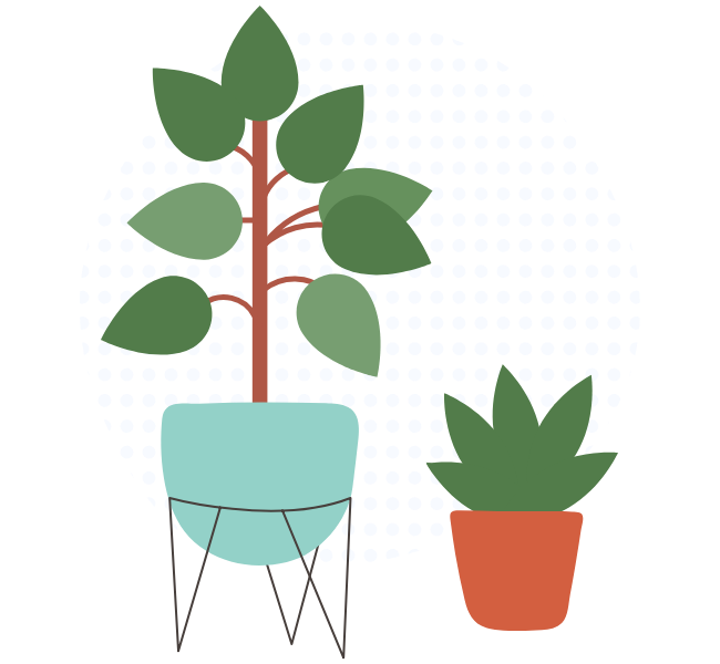 Plants
