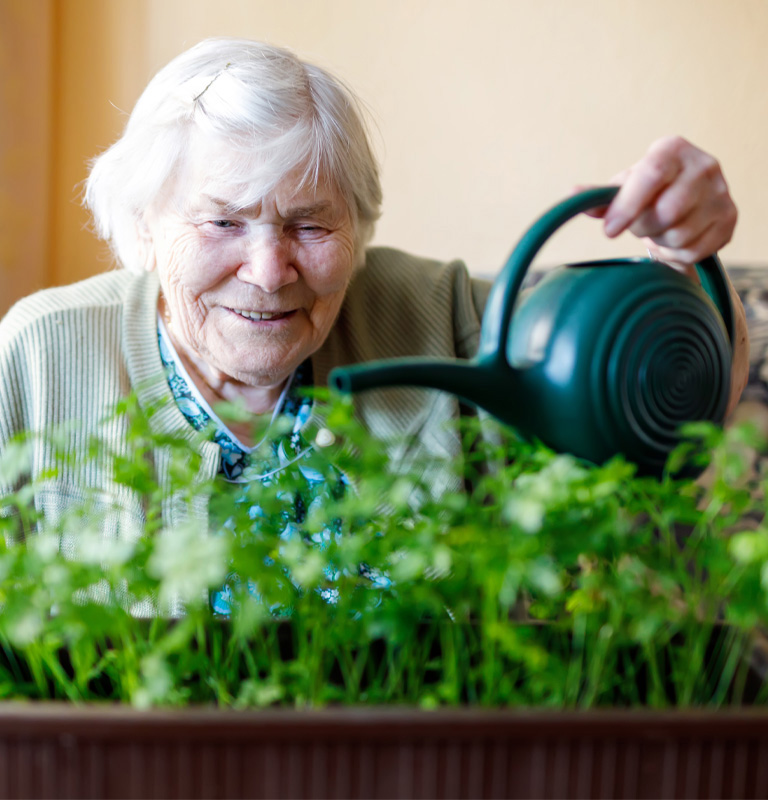 Lady watering her indoor garden