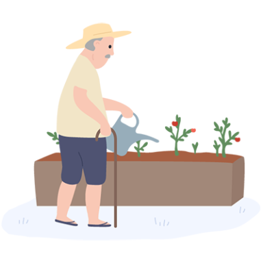 image caption: An illustration of an older man watering his garden.