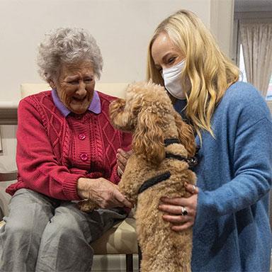 An Aged Care Home resident and their visitor patting a dog