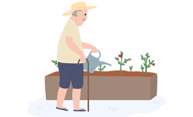 image caption: An illustration of an older man watering his garden.